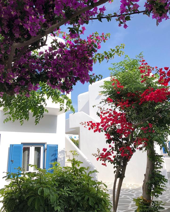 Acrogiali Beachfront Hotel Mykonos Platys Gialos  Bagian luar foto